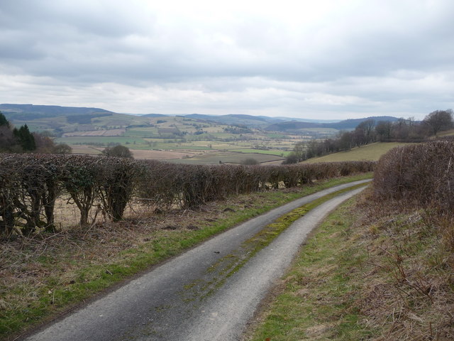 File:Lane near Goat Hill - geograph.org.uk - 1712251.jpg