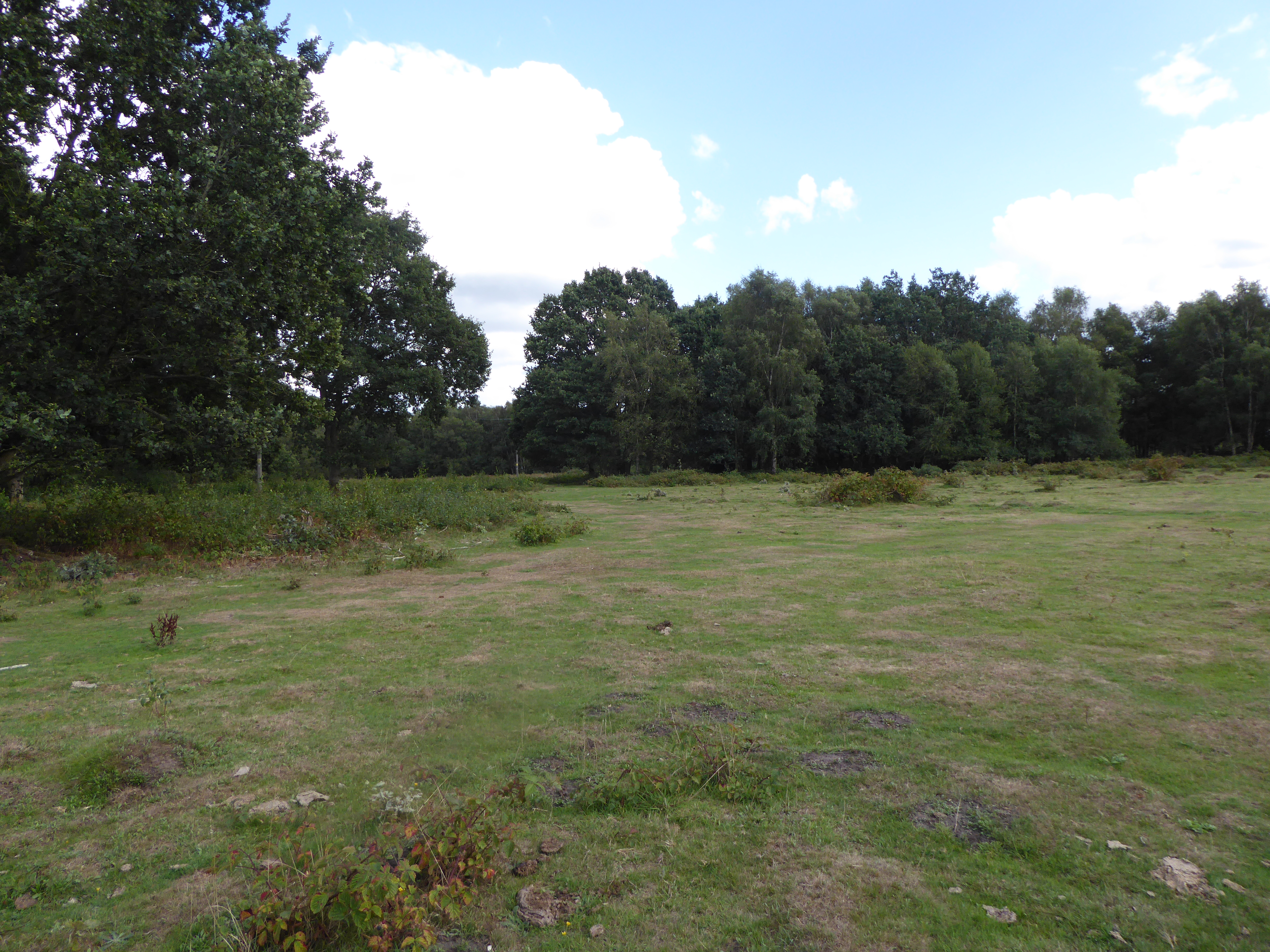 Litcham Common