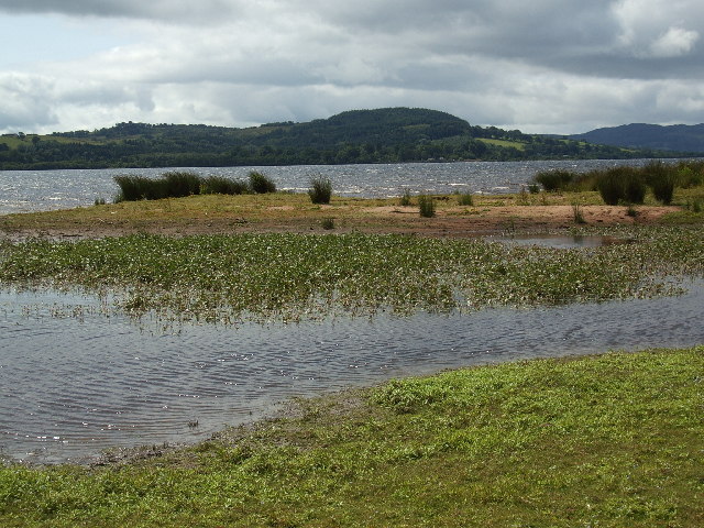 File:Loch Lomond Nature Reserve - geograph.org.uk - 100057.jpg