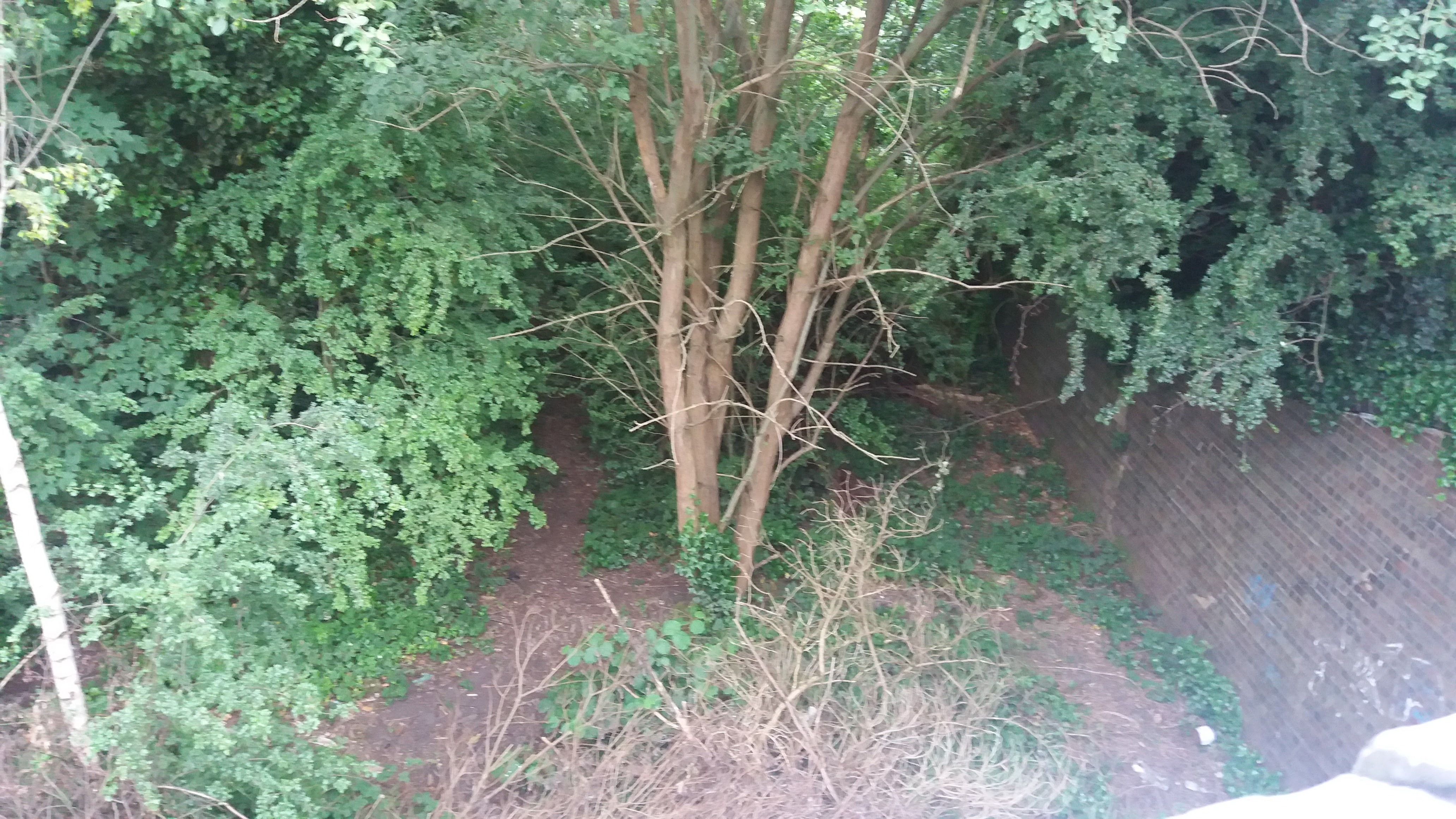 Pensnett Halt railway station