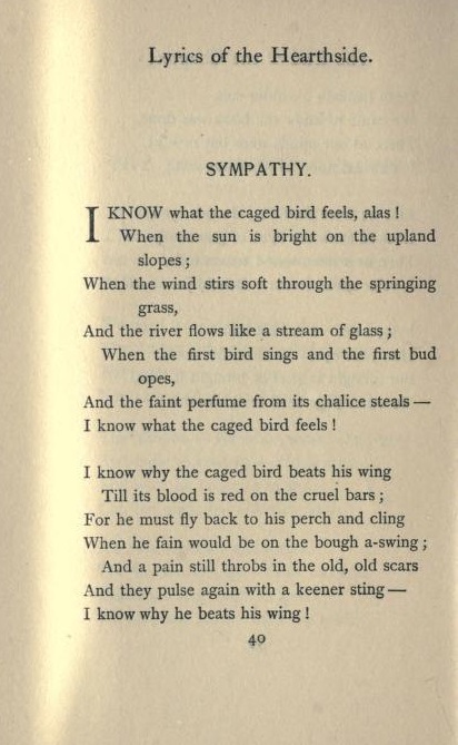 what is the theme of the poem sympathy