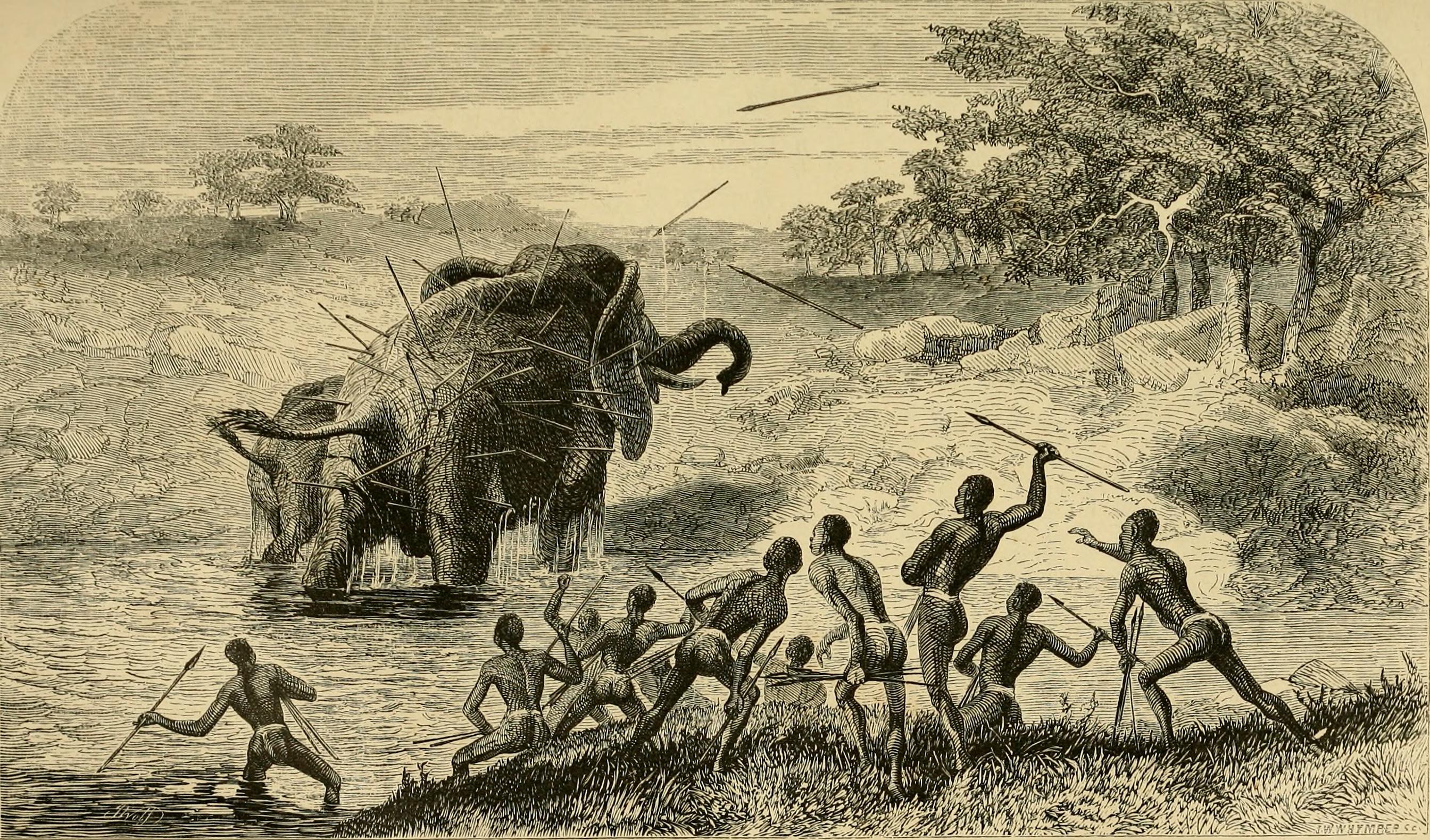 Охота пигмеев Африки 19 века