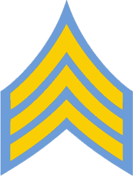 File:NJSP Sergeant Stripes.png