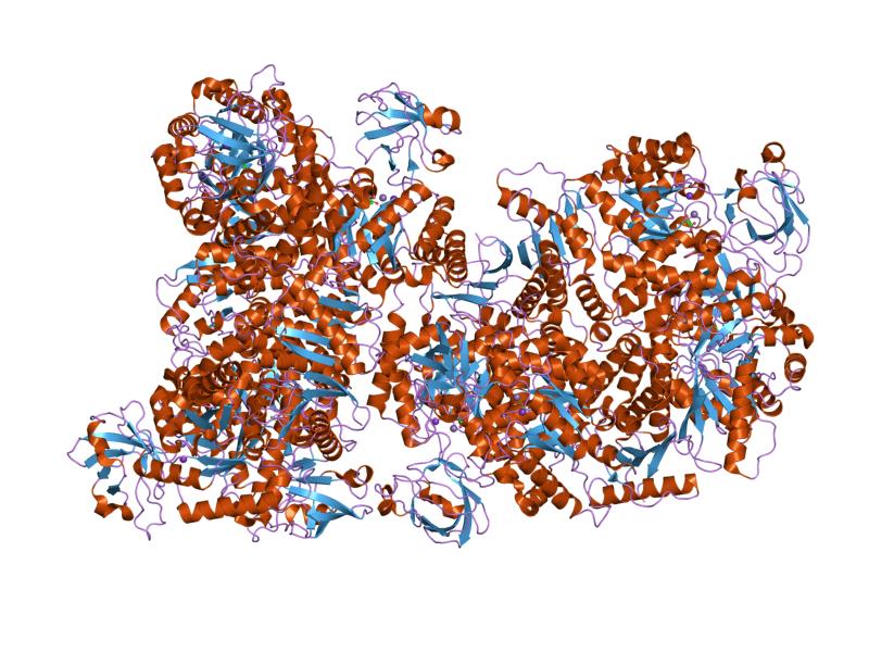 File:PDB 1f3w EBI.jpg