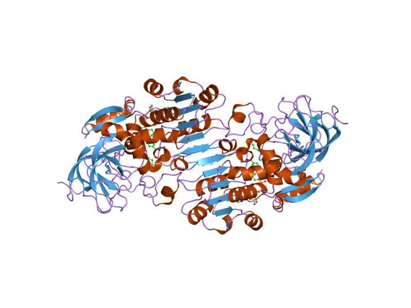 File:PDB 1u3w EBI.jpg