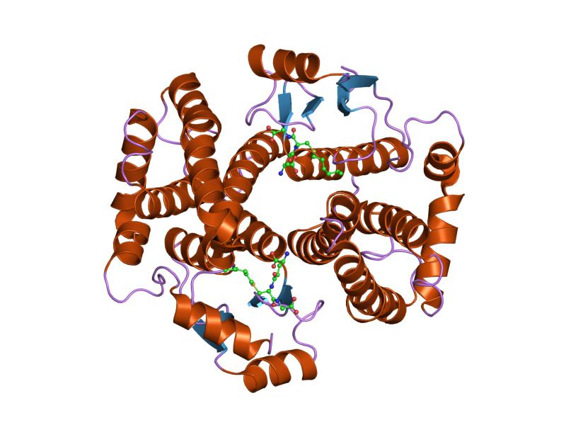 File:PDB 1ydk EBI.jpg