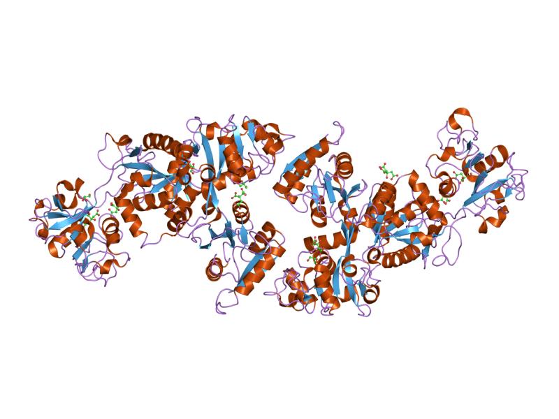 File:PDB 2hav EBI.jpg