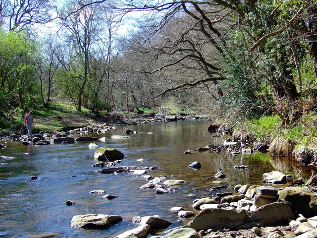 River Derwent - geograph.org.uk - 1529420