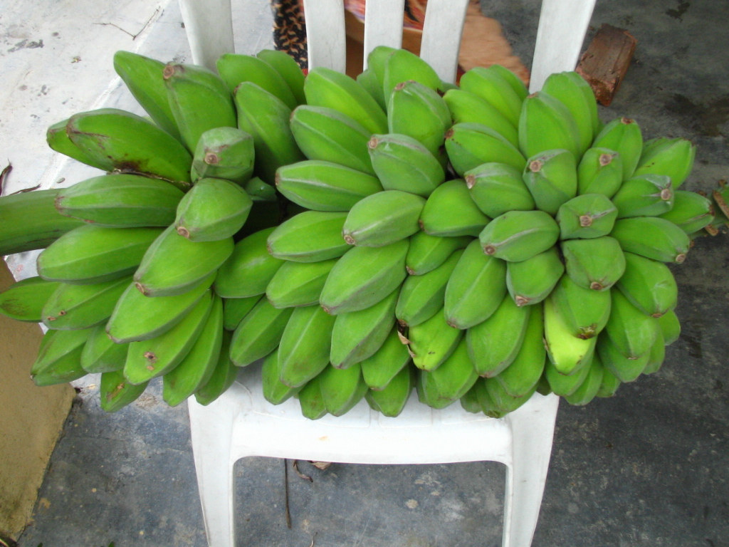 Pisang awak