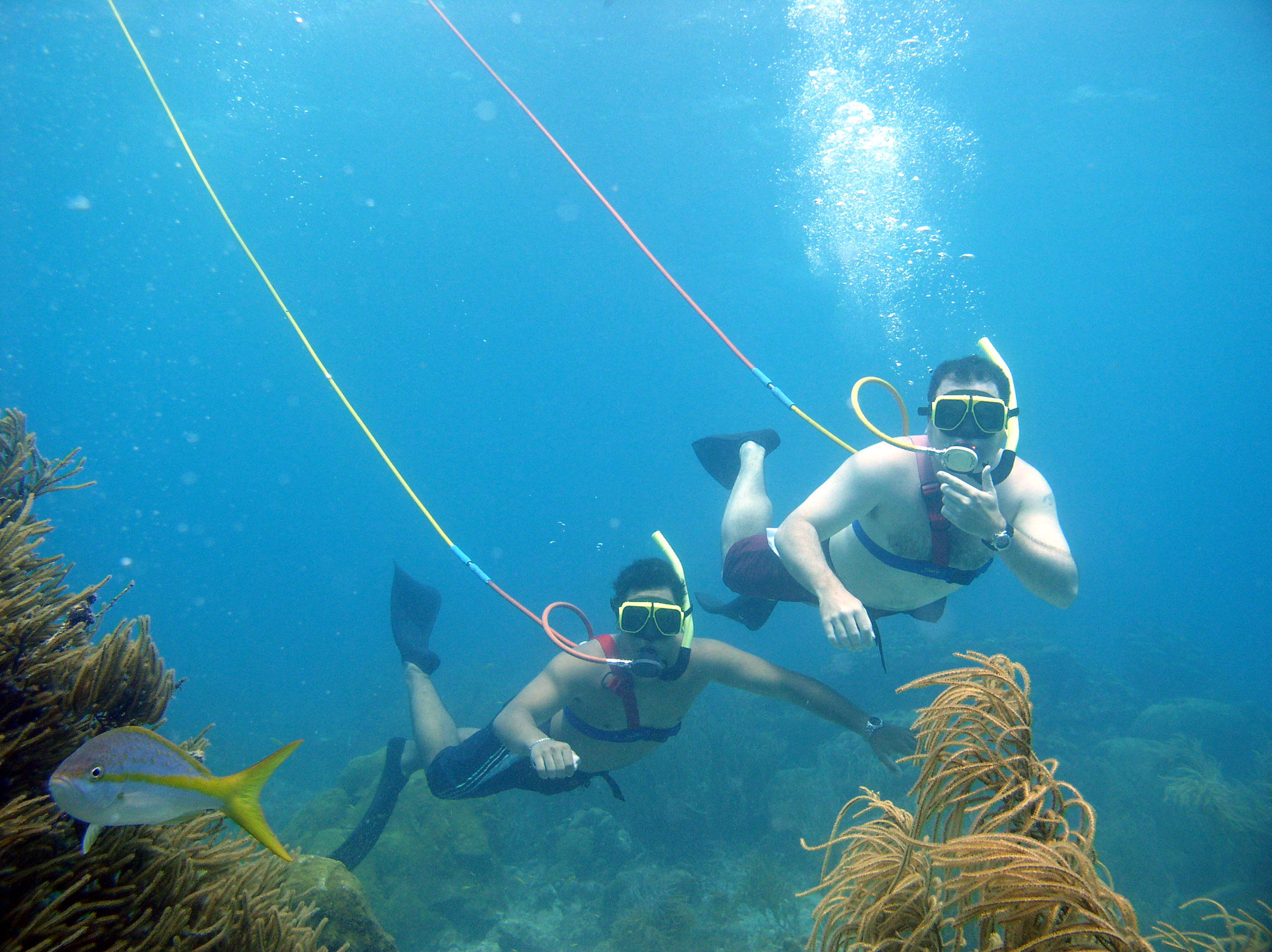 Image result for snuba diving