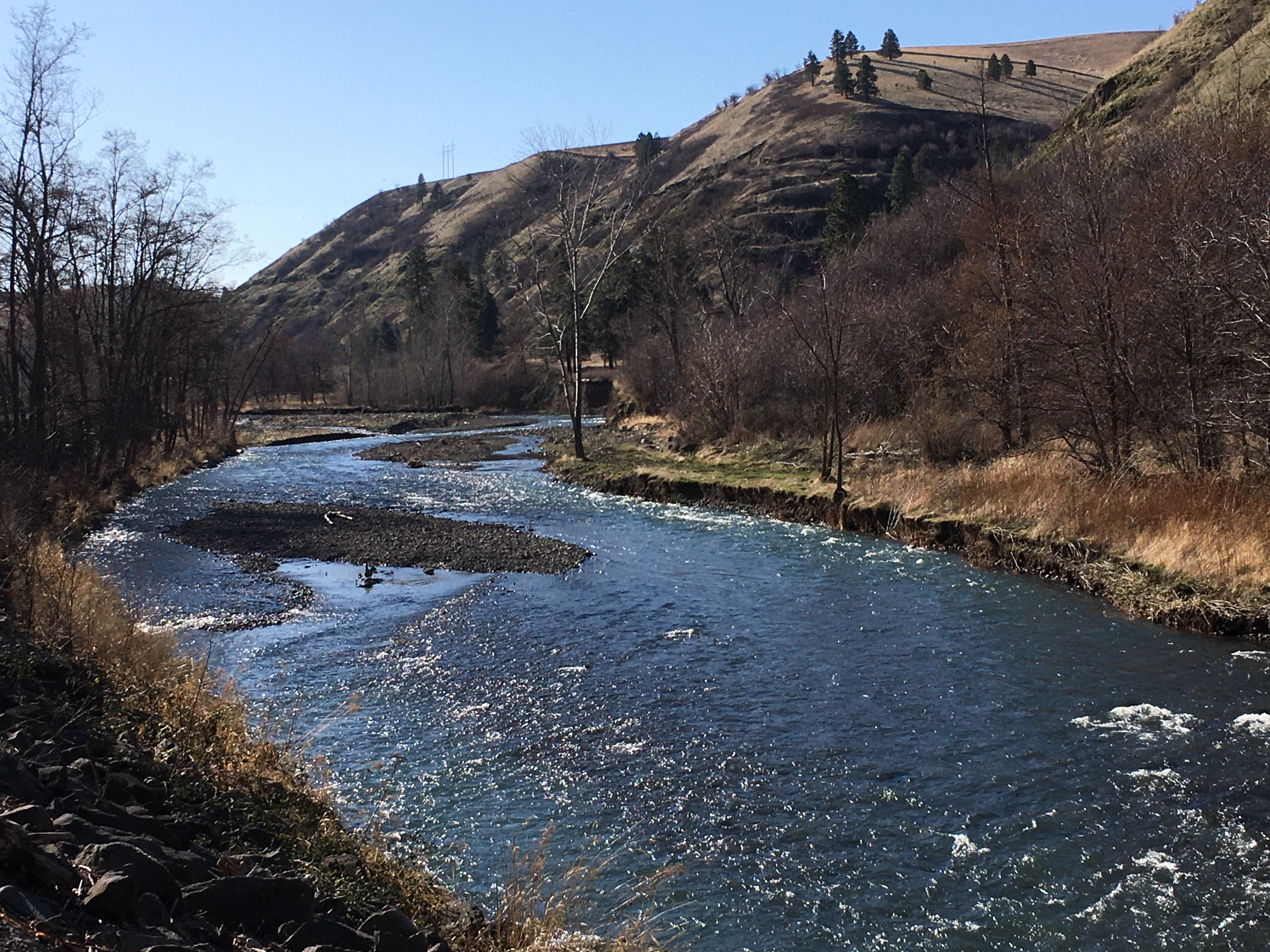 Touchet River Dayton.JPG