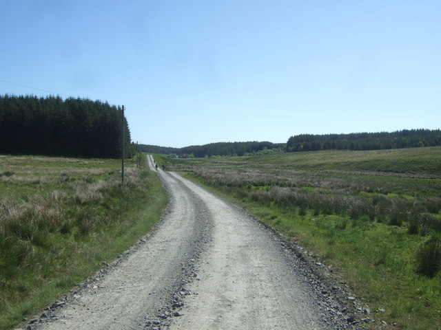 File:Track to Hay Hill and Coldcotes - geograph.org.uk - 1362560.jpg