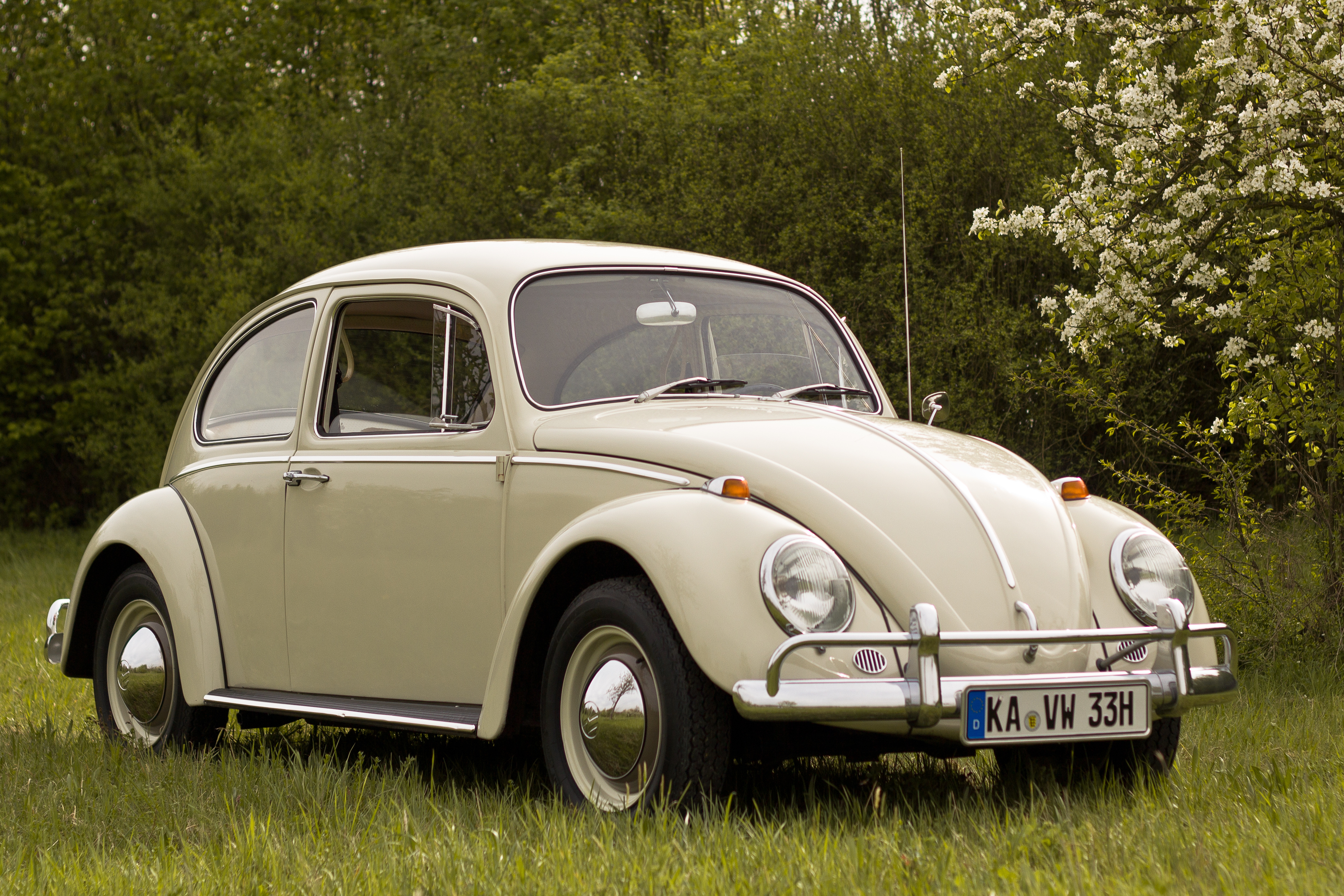 Tact Toegepast gehandicapt Volkswagen Beetle - Wikipedia