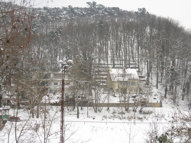 File:Winterlandschaft bei Gimmeldingen - geo.hlipp.de - 15763.jpg