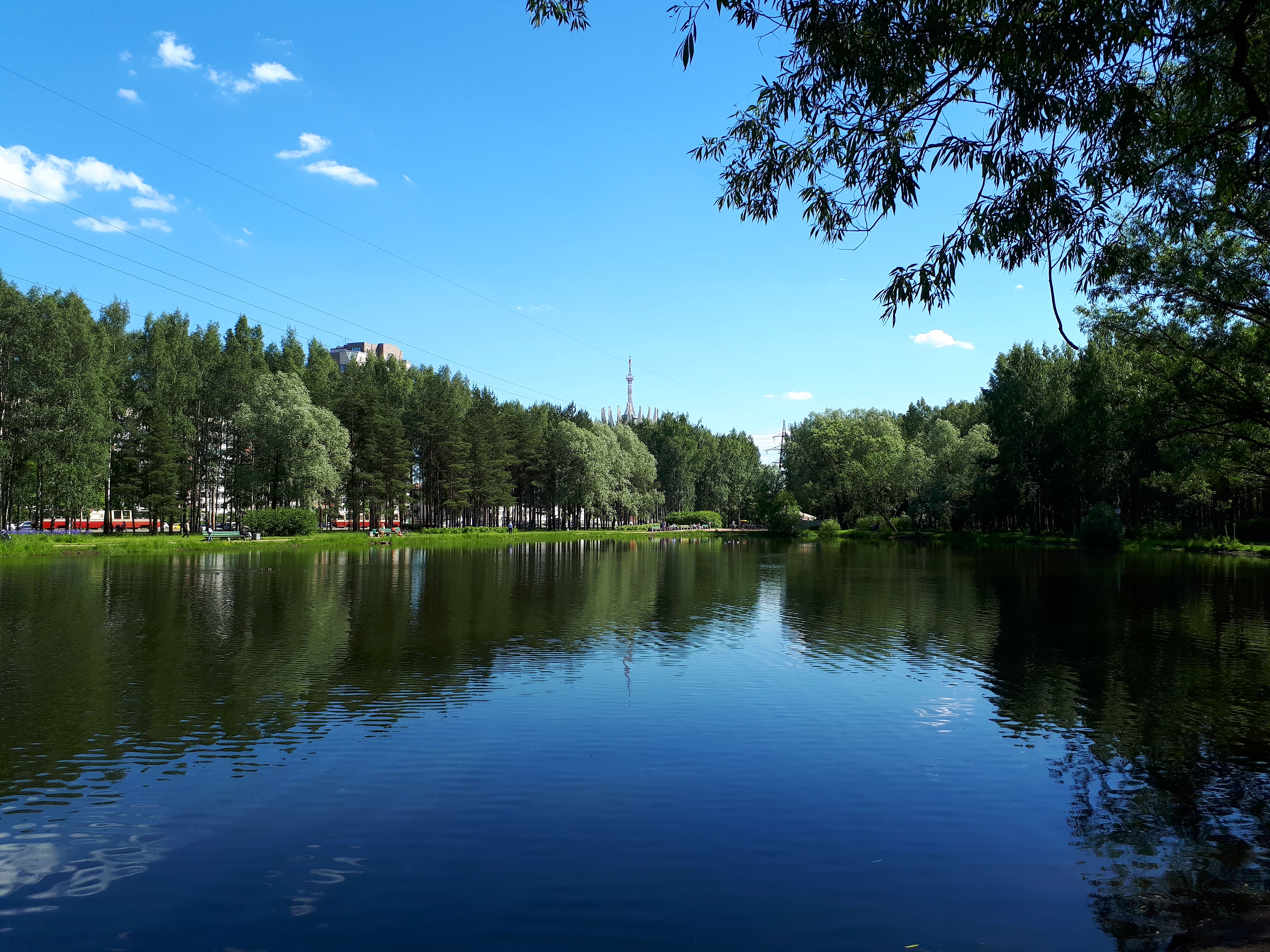 Ждановские озера во всеволожске