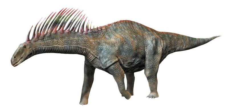 File:Amargasaurus NT small.jpg