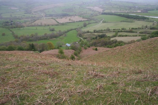 File:Another gully - geograph.org.uk - 1297155.jpg