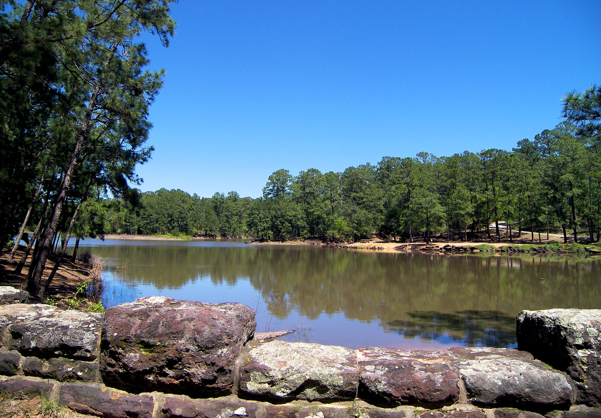 Bastrop State Park Wikipedia