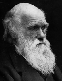 File:Charles darwin.gif