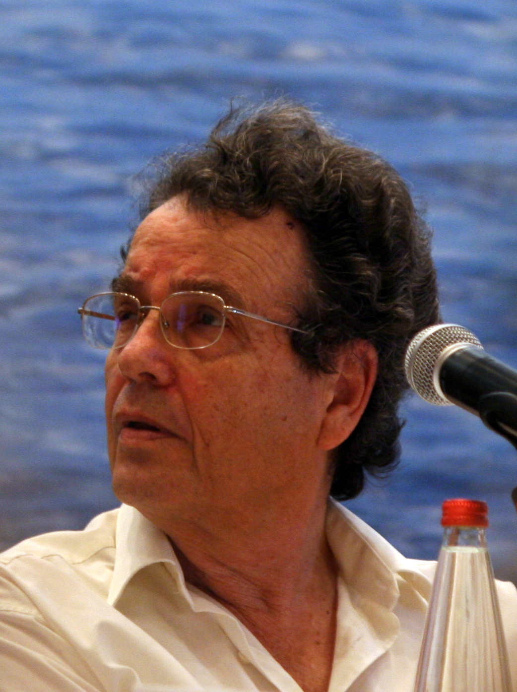 Daniel Friedmann2012-1.jpg