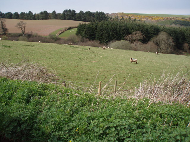 File:Farmland from Oak Lane. - geograph.org.uk - 153284.jpg