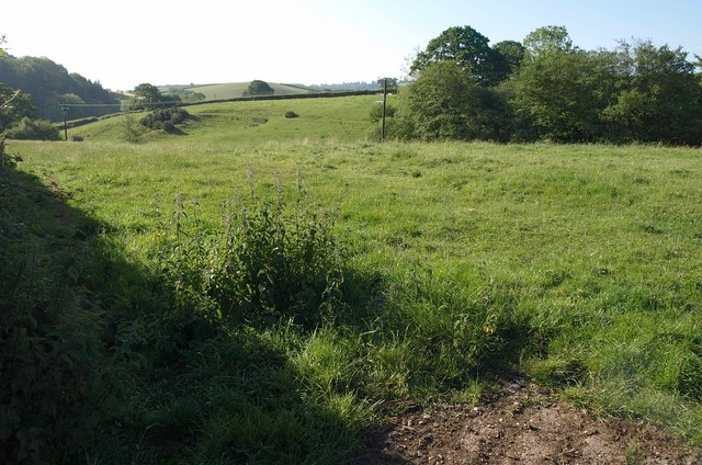 File:Field by Stoney Lane Hill - geograph.org.uk - 2446536.jpg