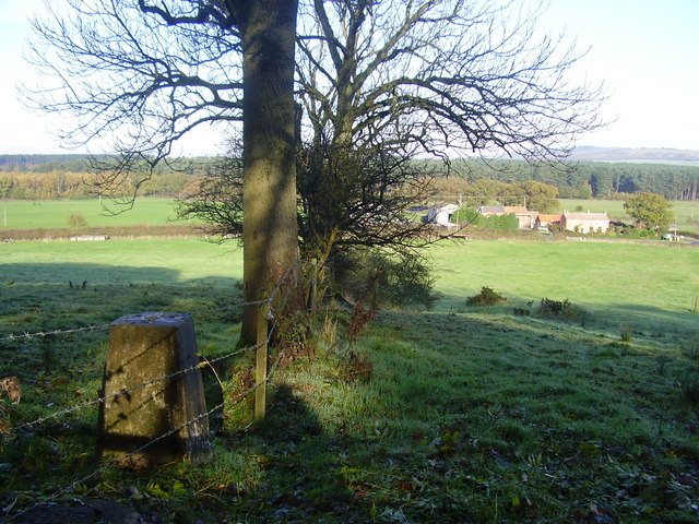 Hamilton hill trig point. - geograph.org.uk - 1653206