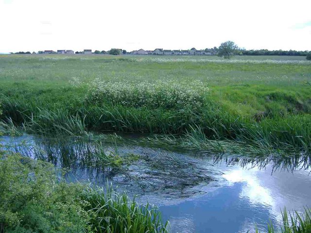 File:Horsey Down, from the Thames - geograph.org.uk - 436551.jpg