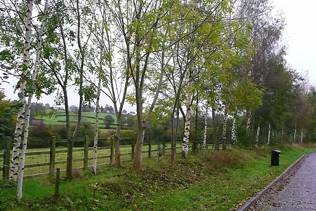 File:Layby on the A40 - geograph.org.uk - 1016882.jpg