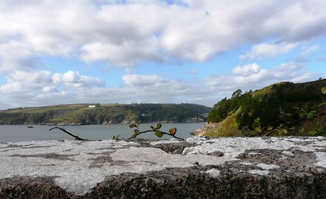 File:Lichen, concrete wall, Brownstone Batteries - geograph.org.uk - 1546660.jpg