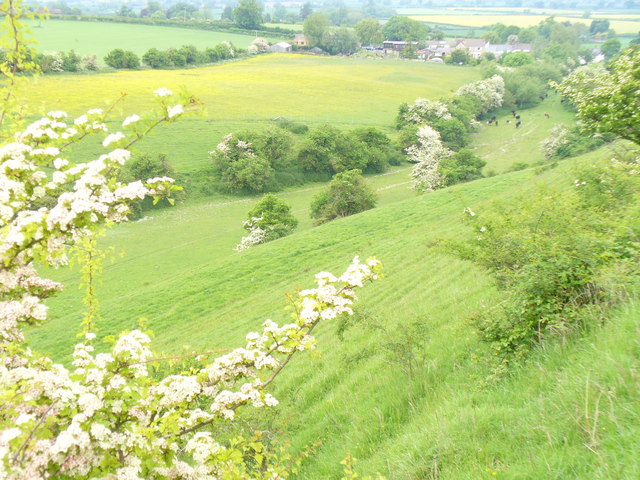 File:Looking down The Combes - geograph.org.uk - 816204.jpg