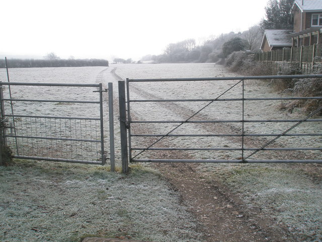 File:Looking over to Nightingale Bottom from Woodbury Lane - geograph.org.uk - 1119793.jpg