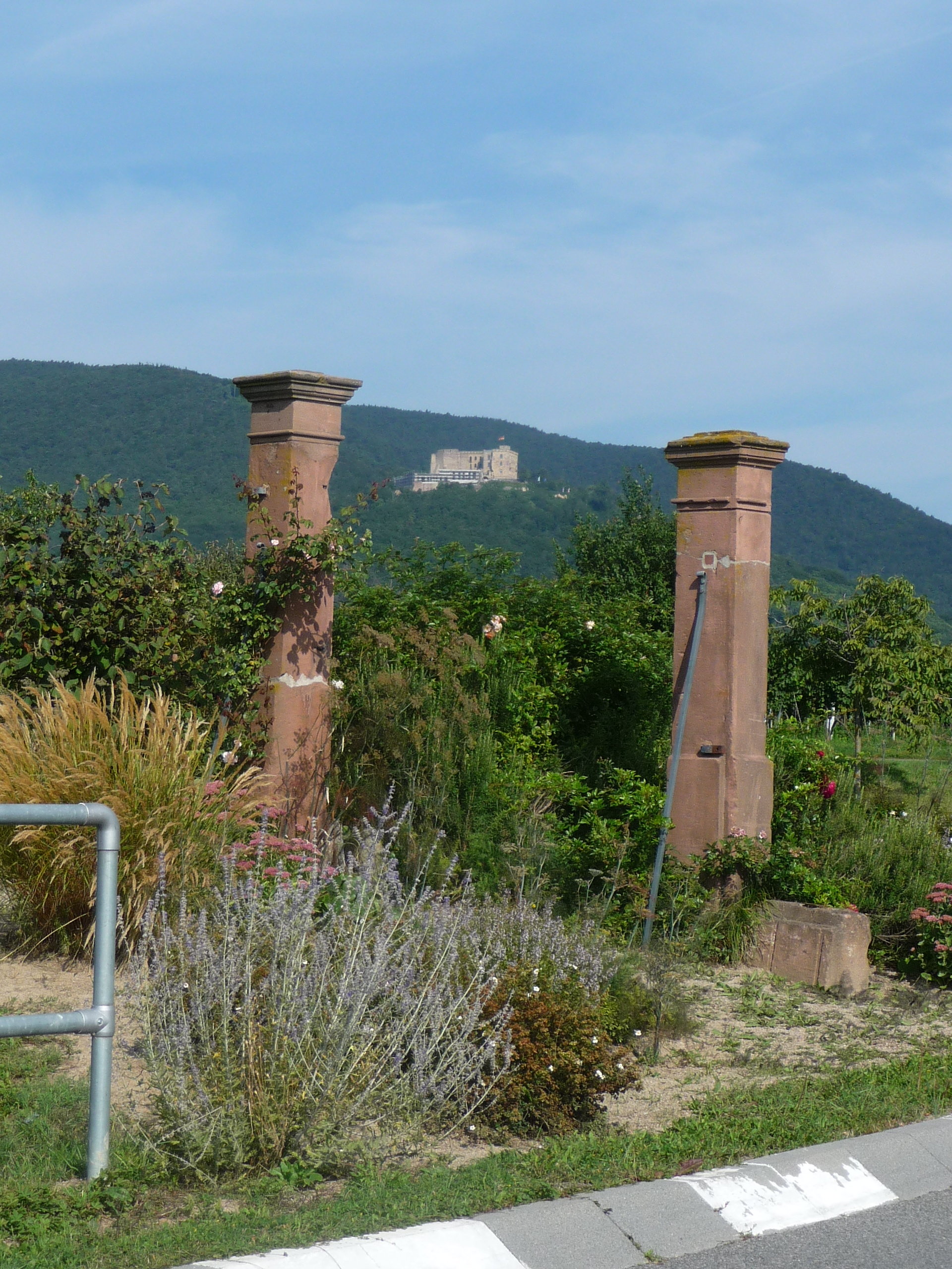 Hambacher Schloss von Maikammer aus