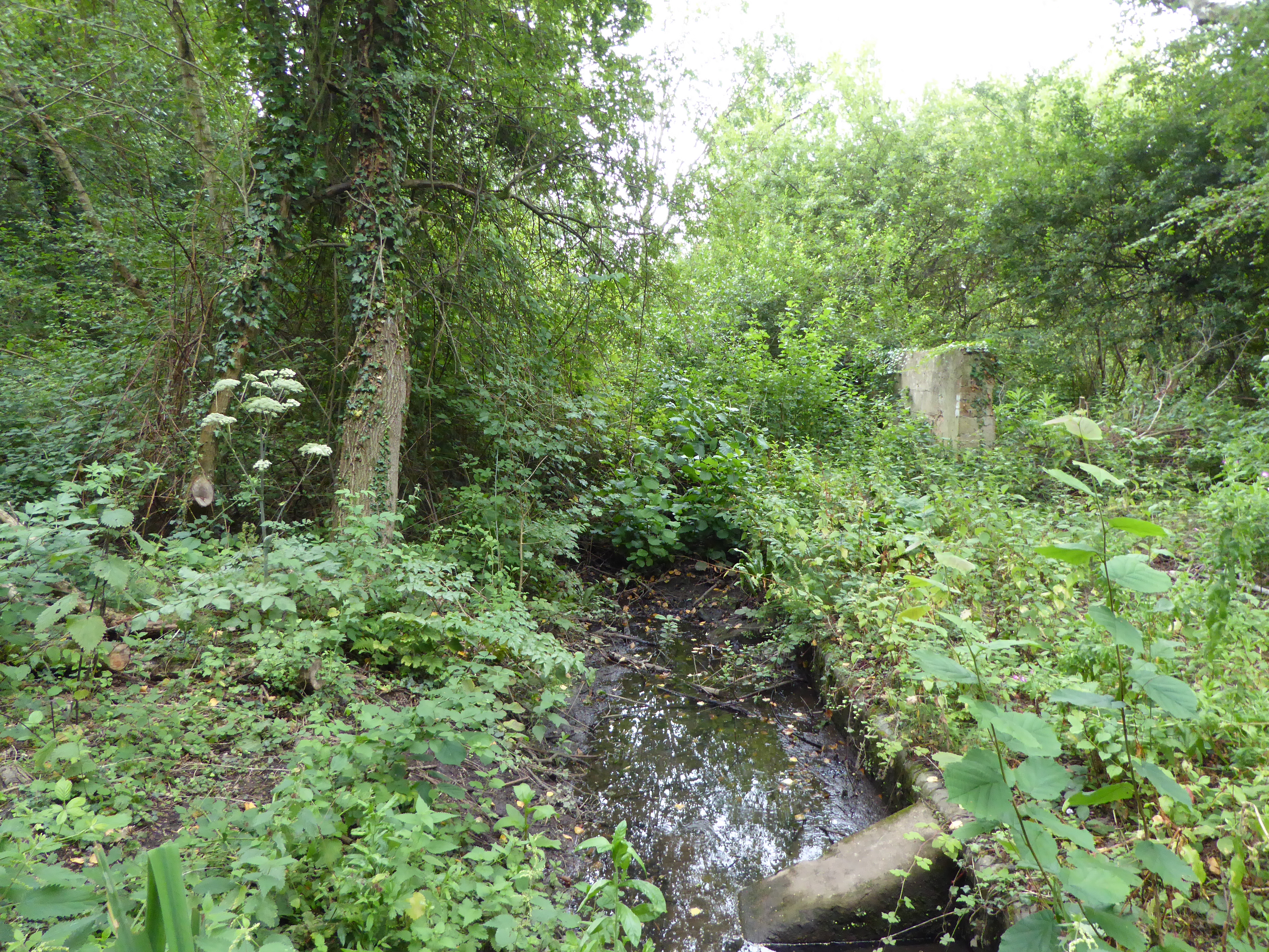 Mill Stream Nature Reserve Wikipedia