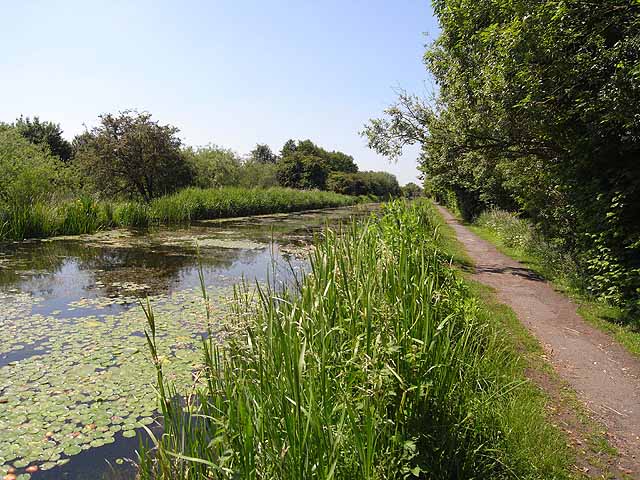 Newport Canal - geograph.org.uk - 1936459