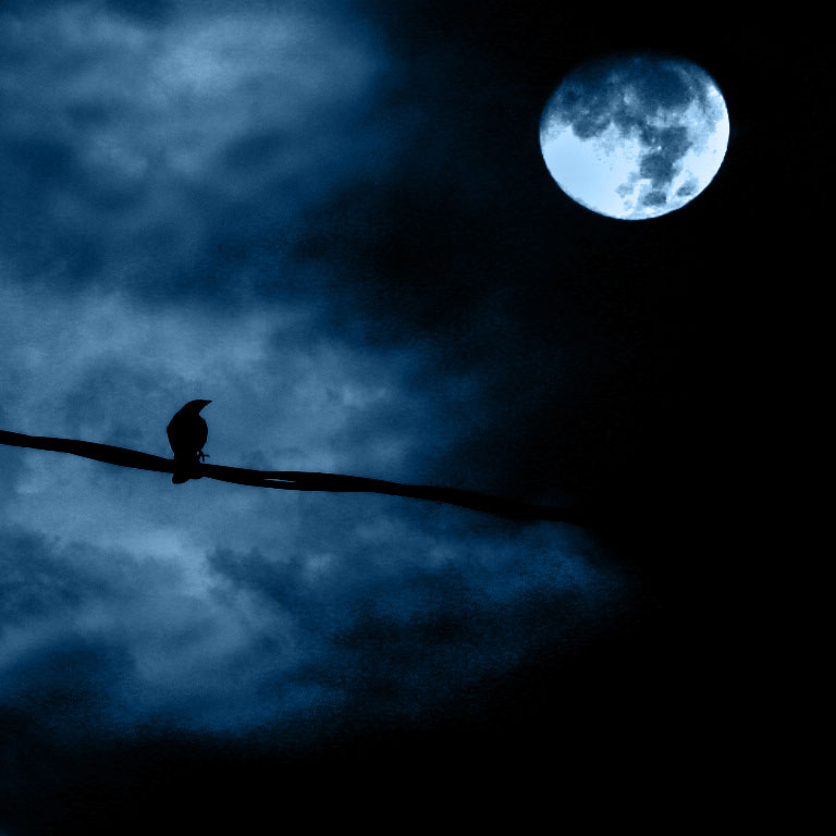 File:Noche de luna llena - Full moon night.jpg - Wikimedia Commons