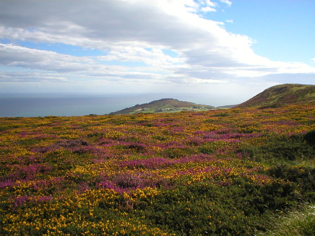 File:On Mynydd Rhiw looking towards Rhiw - geograph.org.uk - 79689.jpg