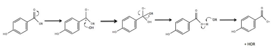 Arrow pushing mechanism showing the degradation of a parent paraben into PHBA through base-catalyzed hydrolysis of the ester bond