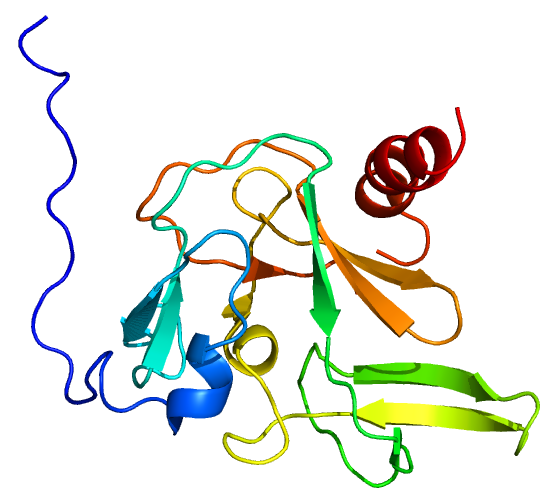 Protein PRDM2 PDB 2JV0