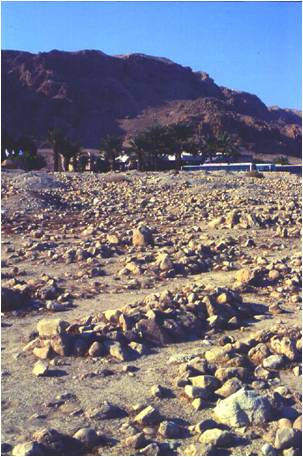 File:Qumran burials.jpg