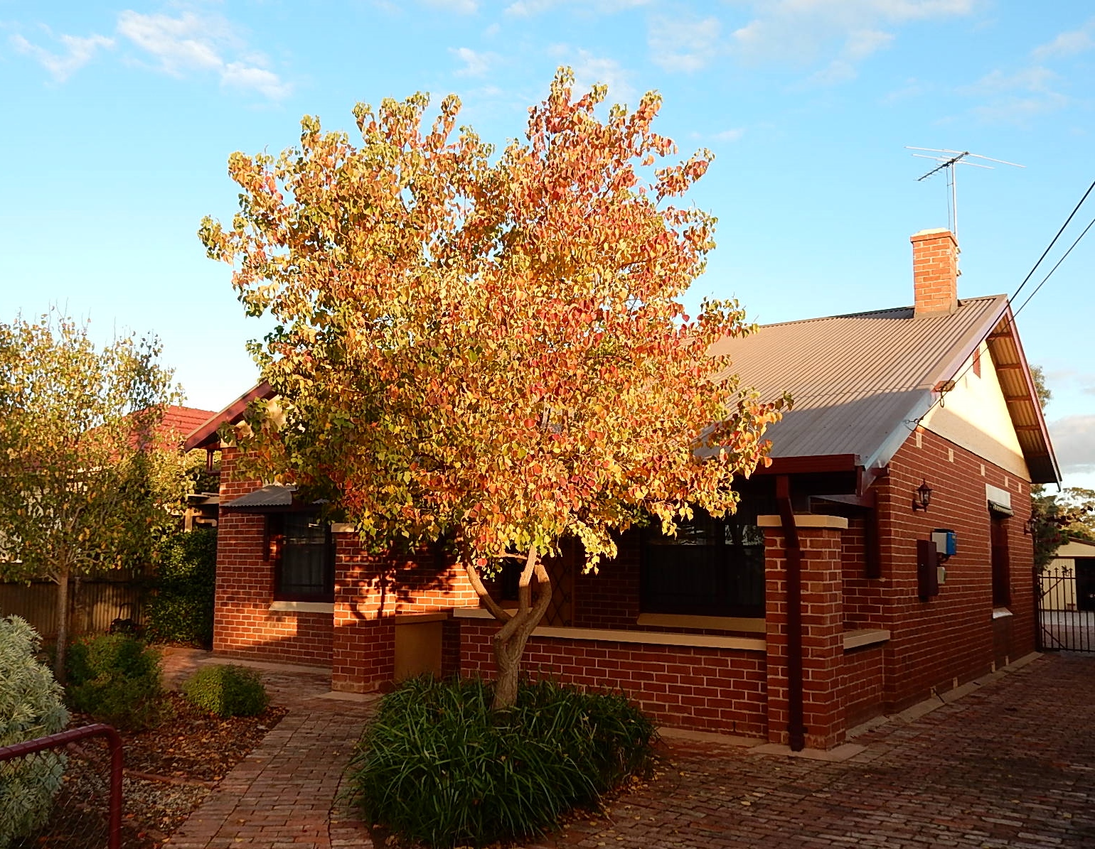 File:Red brick bungalow in Beverley, South Australia.jpg ...