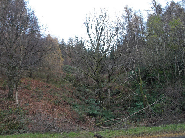 File:Strathwhillan, Arran - geograph.org.uk - 1052993.jpg