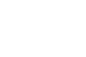 File:TMF-logo white.png