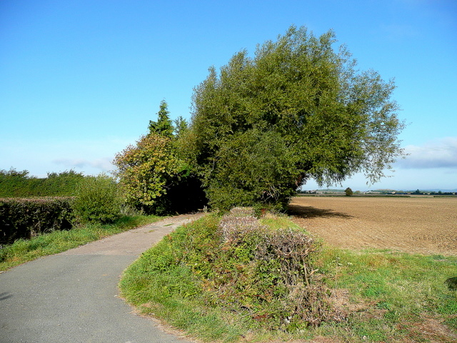 File:Track to Little Mocho Farm - geograph.org.uk - 1504605.jpg