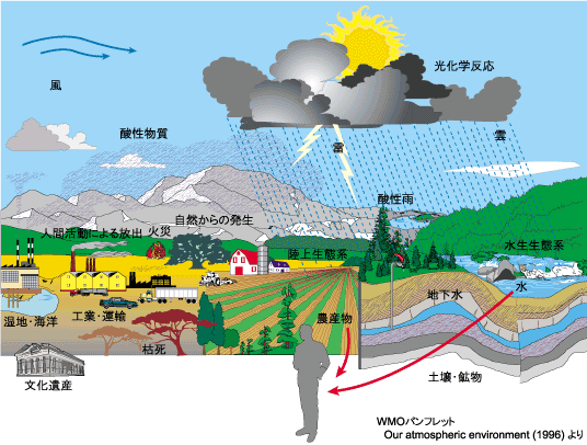 酸性 雨