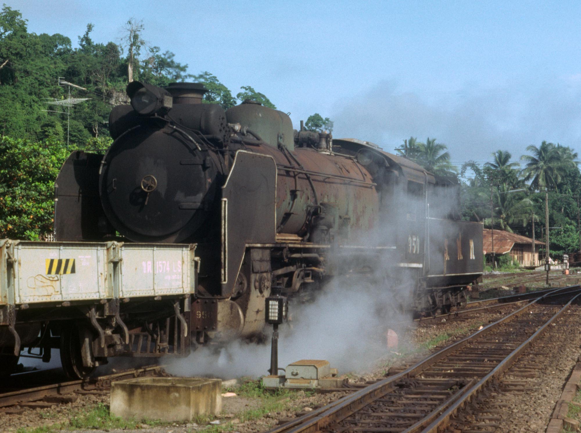 Thai steam фото 42