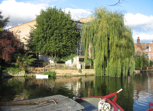 File:A fine willow tree - geograph.org.uk - 1079096.jpg