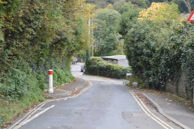 File:Arcadia Rd - geograph.org.uk - 5284115.jpg