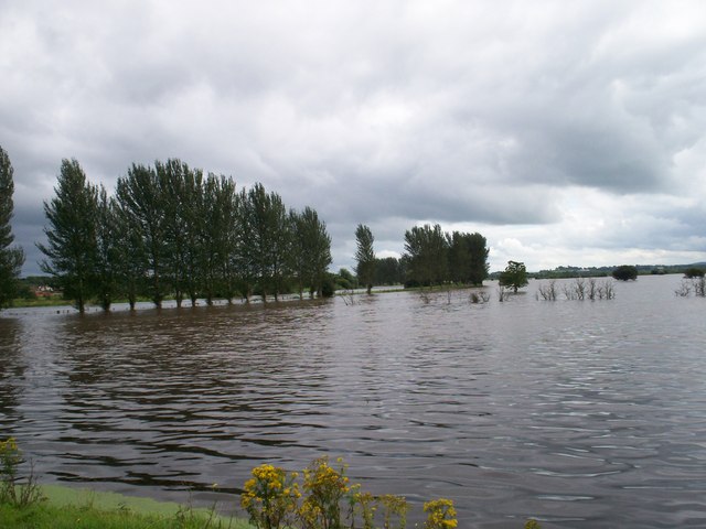 File:Bann Meadows, Portadown - geograph.org.uk - 925652.jpg