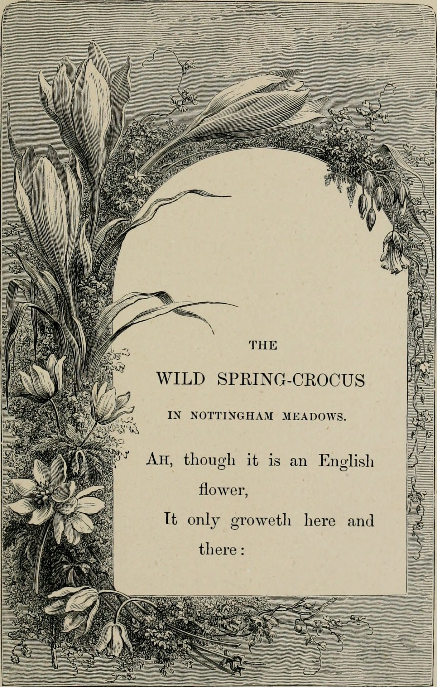 File Birds And Flowers Or Lays And Lyrics Of Rural Life 1873 Jpg Wikimedia Commons